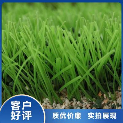 黑龍江省鶴崗市|工農(nóng)|蘿北|牡丹江|齊齊哈爾|哈爾濱|大慶|綏化PVC地板-友建(更新時(shí)間:2025-07-06 09:33:39)